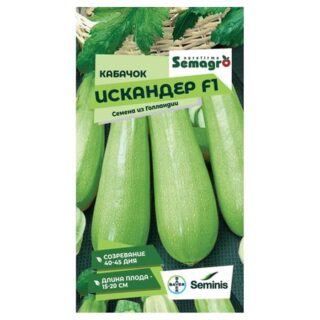 Семена Seminis кабачок искандер f1