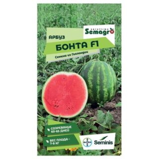 Семена Seminis арбуз бонта f1