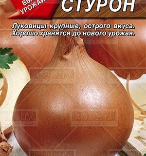 Лук "Стурон" Аэлита