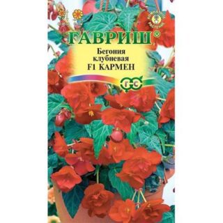Бегония Гавриш Кармен F1 клубневая, амп. гранул. 4 шт. пробирка
