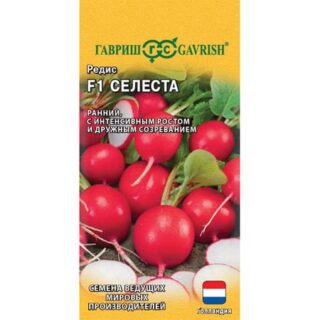 Редис Гавриш Селеста F1 0,5 г (Голландия)