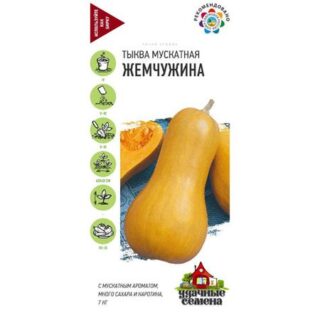 Тыква Гавриш Жемчужина, мускатная 1,0 г Удачные семена